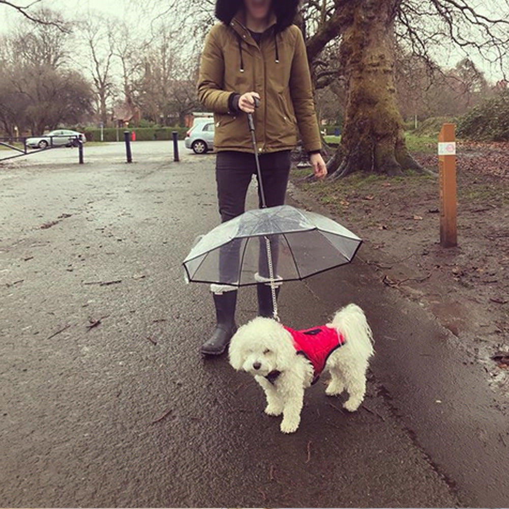 Clear Dog Umbrella with Leash – Stylish Rainy Day Walks - Pawfect Escape