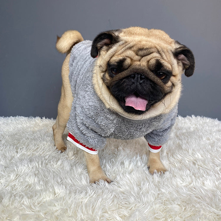 Cozy Cotton Pet Sweater for Dogs – Soft & Stylish Warmth - Pawfect Escape