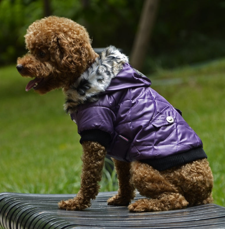 Stylish Winter Dog Coat with Fur Collar - Warm & Fashionable - Pawfect Escape