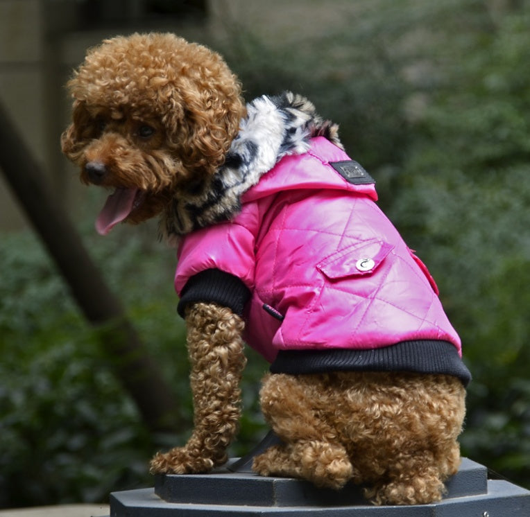 Stylish Winter Dog Coat with Fur Collar - Warm & Fashionable - Pawfect Escape