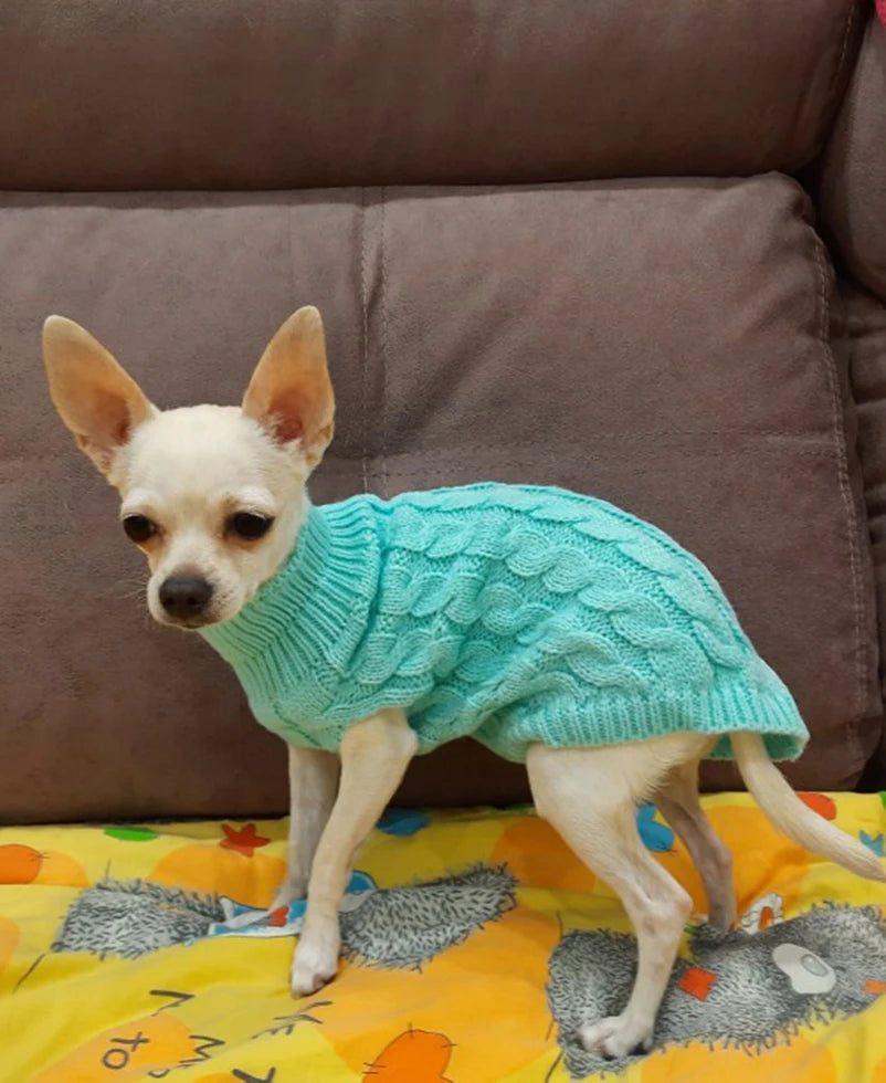 Cozy Turtleneck Sweater for Small Dogs & Cats – Winter Warmth - Pawfect Escape