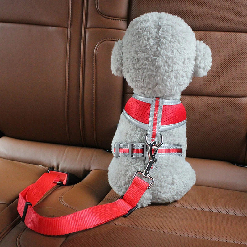 Adjustable Dog Car Seat Belt for Safe & Secure Travel - Pawfect Escape