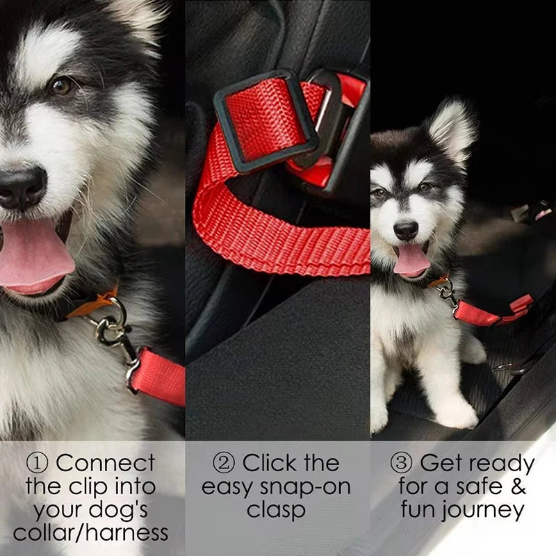 Adjustable Dog Car Seat Belt for Safe & Secure Travel - Pawfect Escape