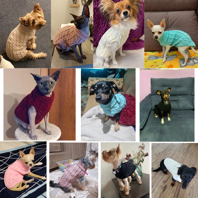 Cozy Turtleneck Sweater for Small Dogs & Cats – Winter Warmth - Pawfect Escape