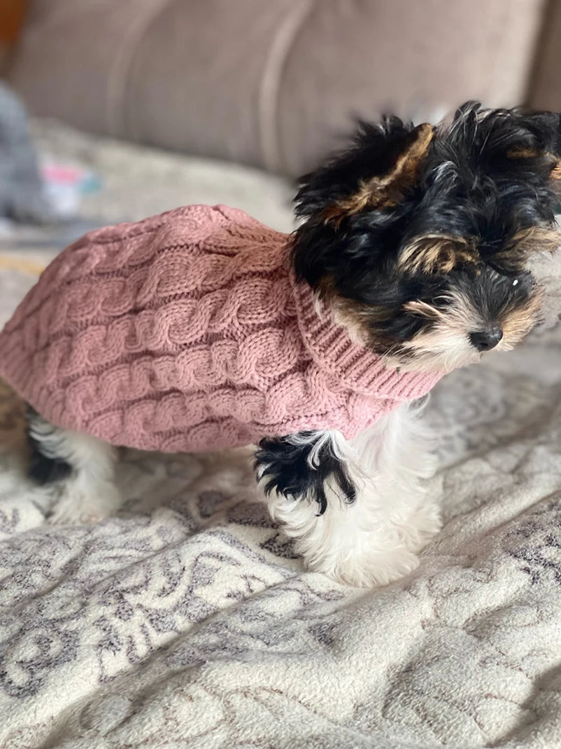 Cozy Turtleneck Sweater for Small Dogs & Cats – Winter Warmth - Pawfect Escape