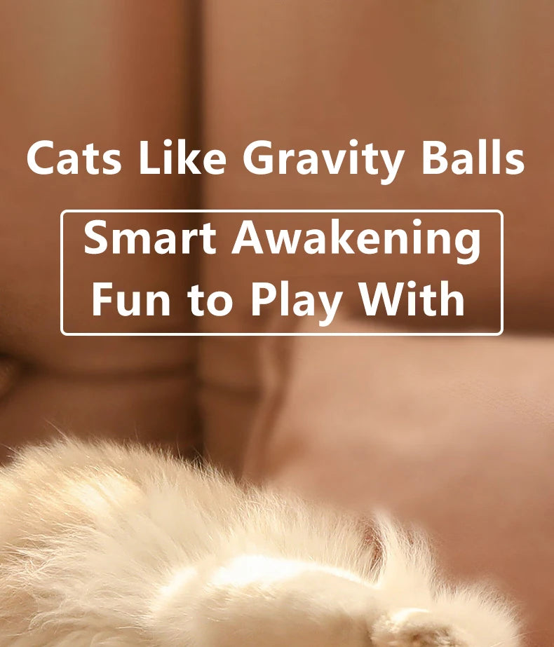 Smart Rolling Interactive Cat Ball – Automatic Fun & Exercise! - Pawfect Escape