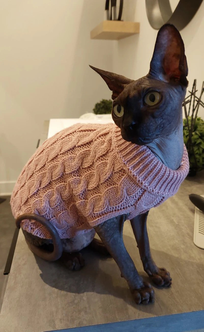 Cozy Turtleneck Sweater for Small Dogs & Cats – Winter Warmth - Pawfect Escape