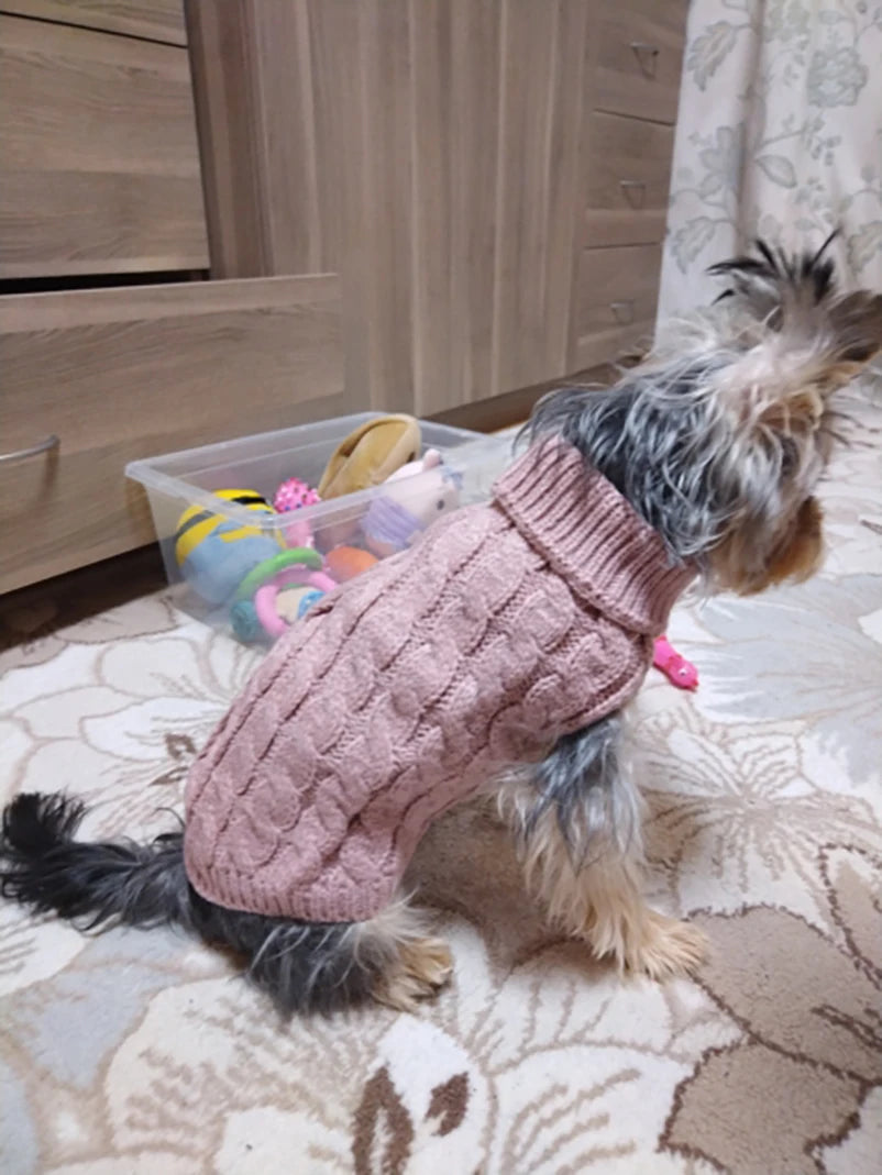 Cozy Turtleneck Sweater for Small Dogs & Cats – Winter Warmth - Pawfect Escape