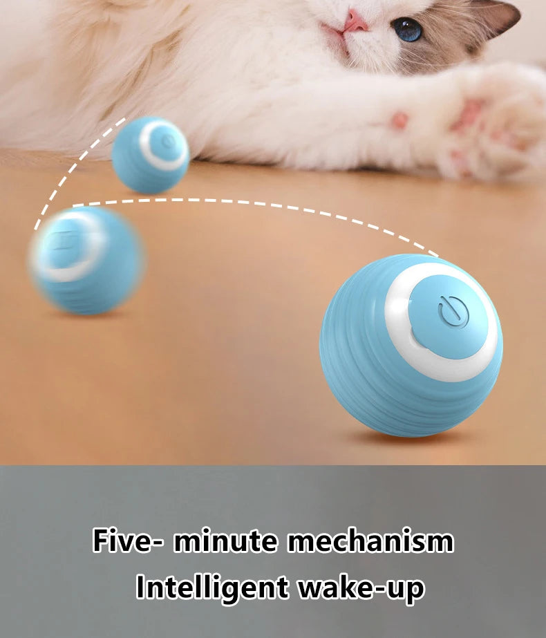 Smart Rolling Interactive Cat Ball – Automatic Fun & Exercise! - Pawfect Escape