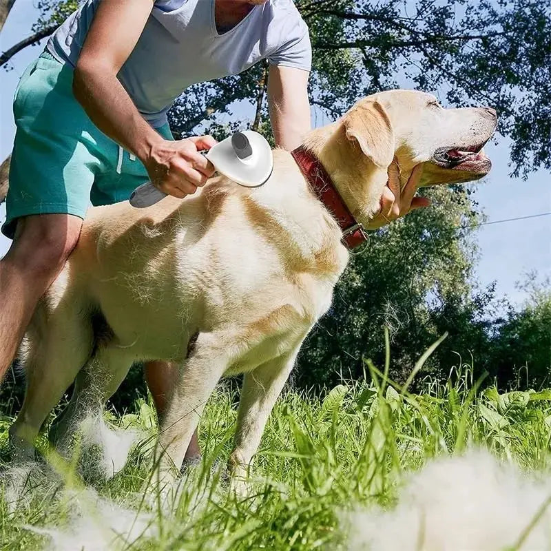 Self-Cleaning Pet Brush – Easy Grooming for Dogs & Cats! - Pawfect Escape