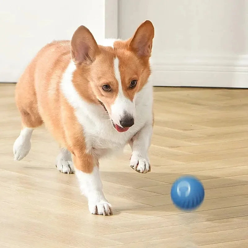 Smart Bouncing Dog Toy Ball – Interactive, Durable, and USB Rechargeable! - Pawfect Escape