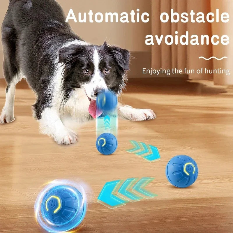 Smart Bouncing Dog Toy Ball – Interactive, Durable, and USB Rechargeable! - Pawfect Escape