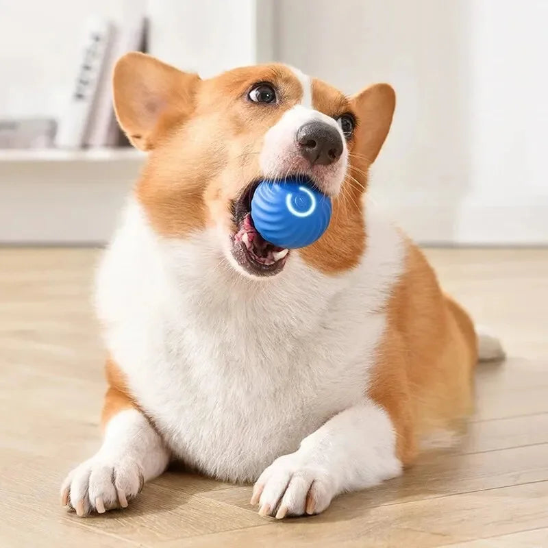 Smart Bouncing Dog Toy Ball – Interactive, Durable, and USB Rechargeable! - Pawfect Escape