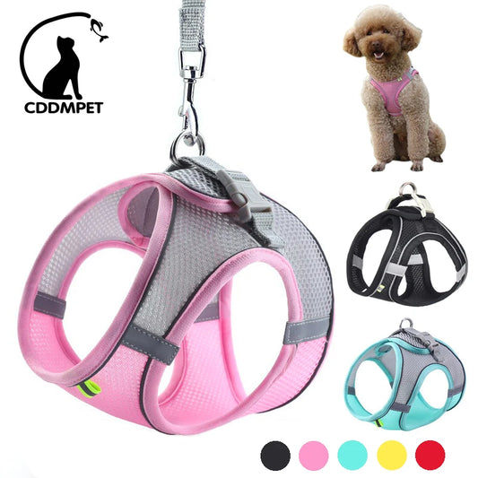 Adjustable Reflective Dog Harness & Leash Set – All-Season Comfort - Pawfect Escape