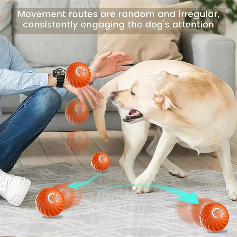 Smart Bouncing Dog Toy Ball – Interactive, Durable, and USB Rechargeable! - Pawfect Escape