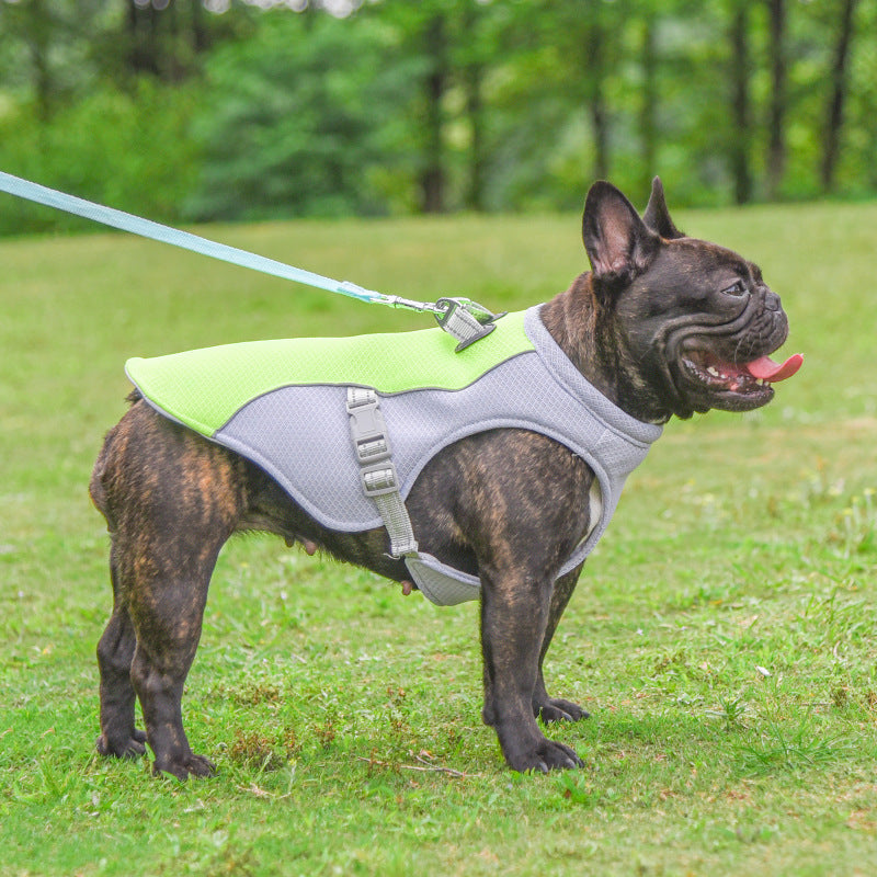 Cooling Dog Vest for Summer Heat Protection and UV Defense - Pawfect Escape